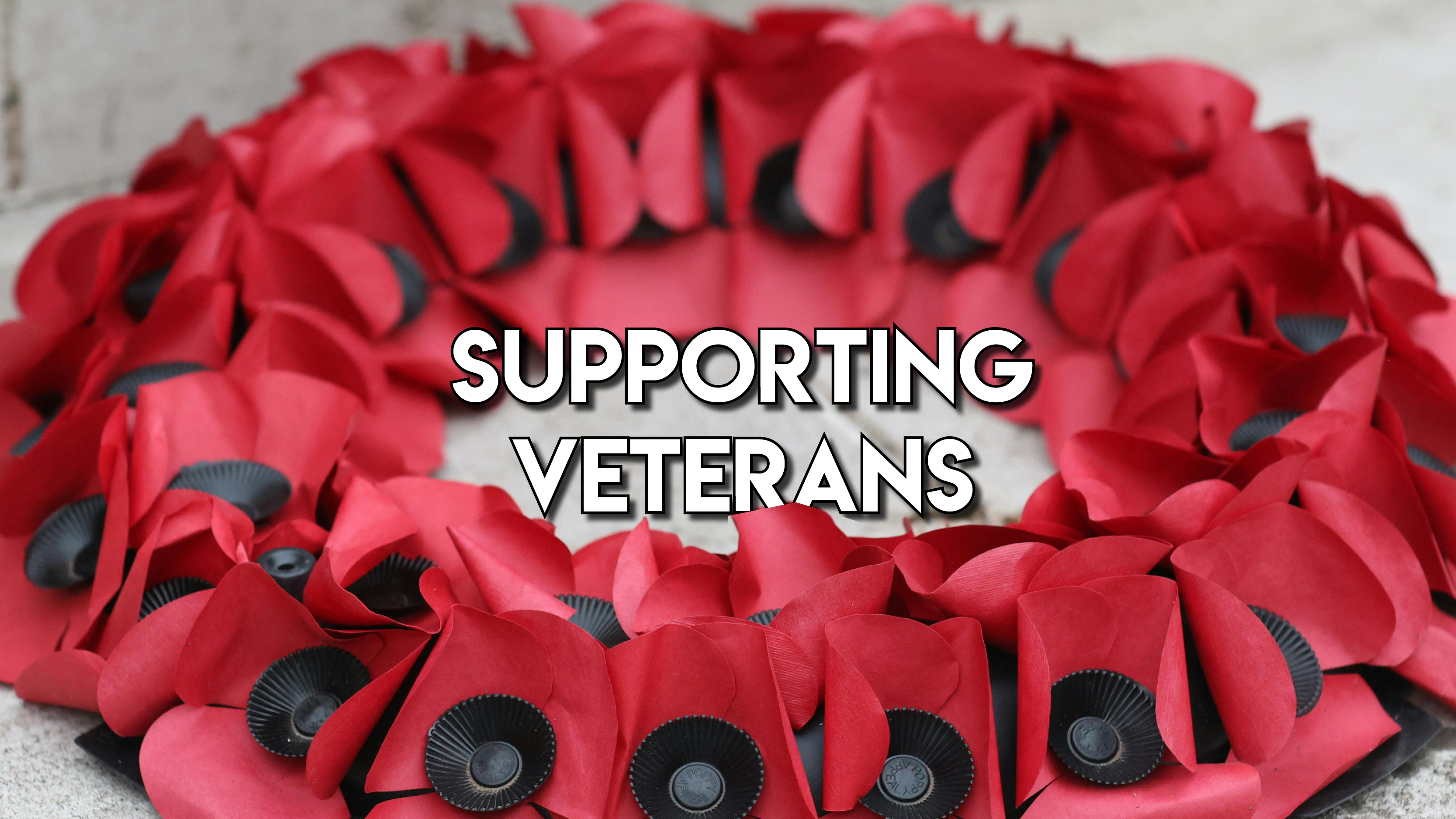 Supporting Veterans this Remembrance Day